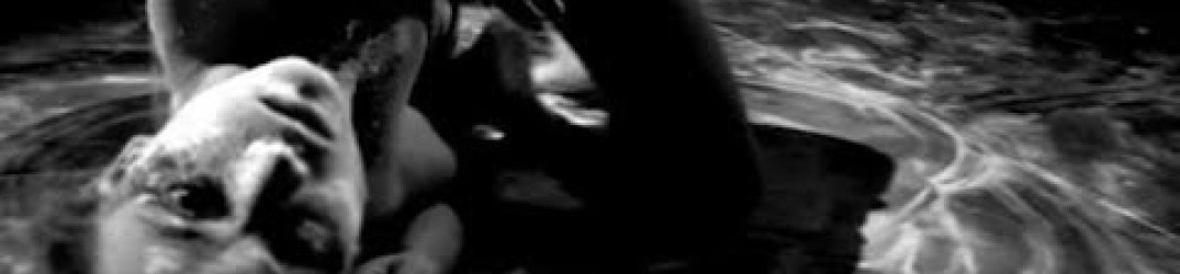 Reject The Sickness: guarda il video-clip ufficiale di ‘My Ire’
