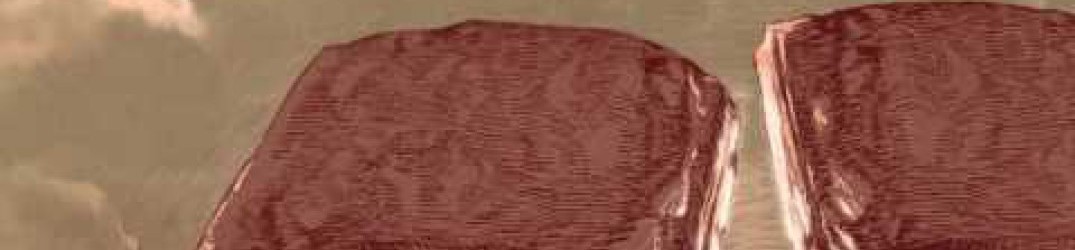 Neter: ascolta la nuova song ‘Galvanize’