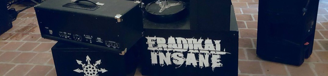 Eradikal Insane: alla ricerca di un nuovo cantante