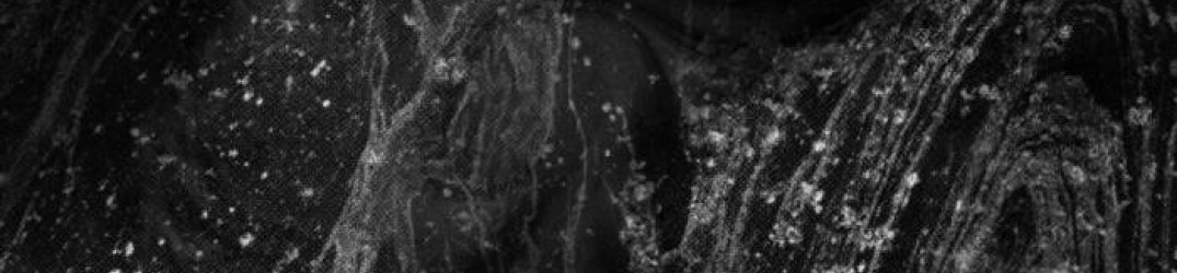 Constrictor: l’EP “The Days I Dreamed of Bliss” in streaming integrale