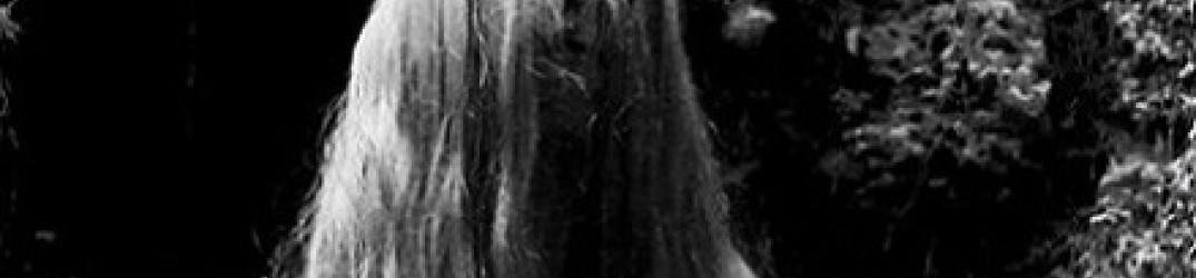 Blooming Carrions: in streaming completo il nuovo demo “Necrosis Twilight”