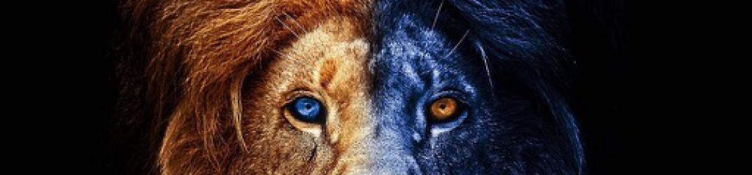 Jari Tiura: in arrivo il debutto “King Of Lions”