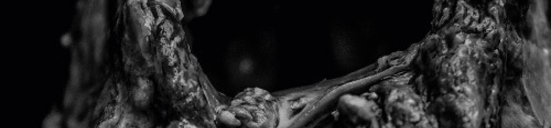 Erdve: ascolta la nuova track ‘Prievarta’ in versione live