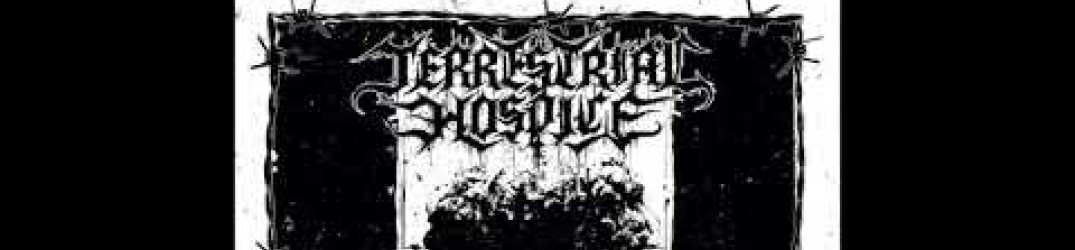Terrestrial Hospice: ascolta la nuova traccia ‘Lord of the Storms’, cover degli Emperor