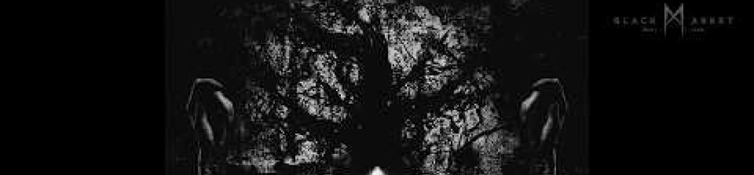 Ov Shadows: “The Darkness Between Stars” in full streaming