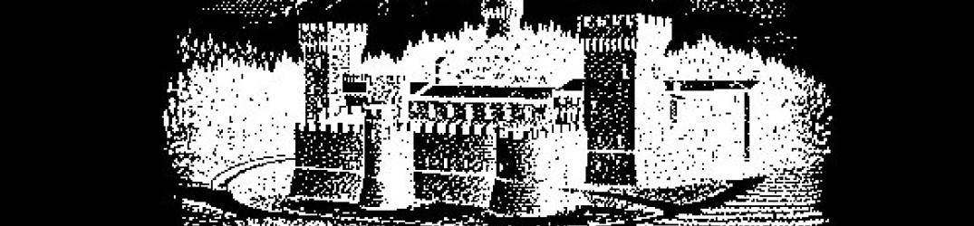 Festung: in full streaming il demo omonimo