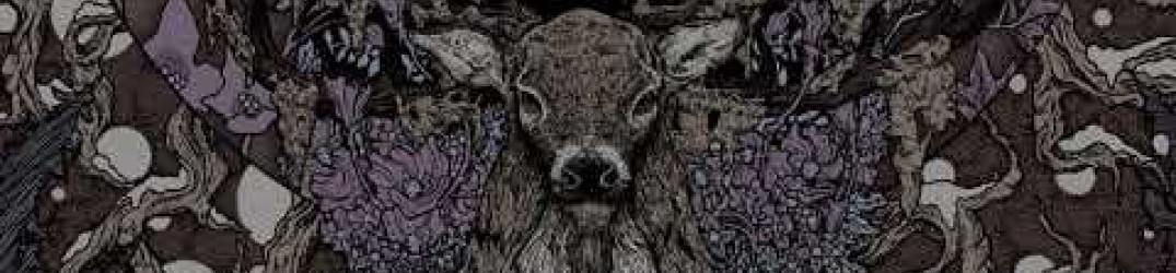 Ulvesang: pubblicato in streaming completo il nuovo album “The Hunt”