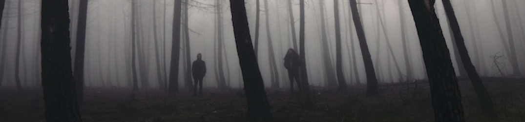 Oak: guarda il live video di ‘Sculptures’