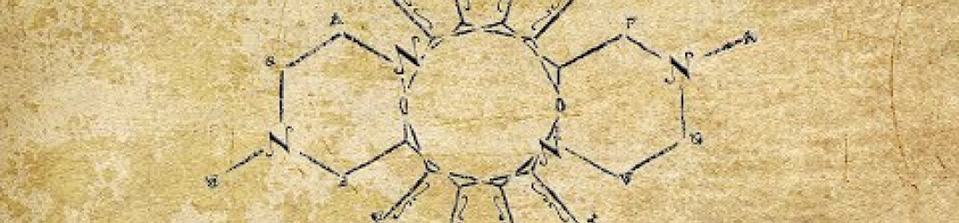 Godless Enthropia: ascolta la nuova track ‘Erase, Delete, Annihilate’