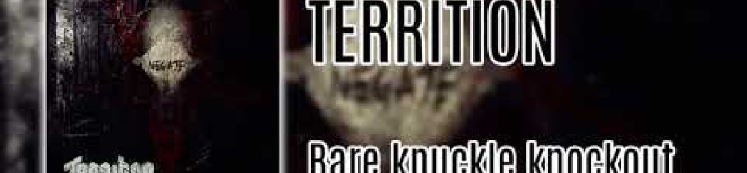 Territion: ascolta in streaming ‘Negate’ [remixed track 2018]
