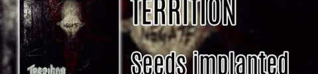 Territion: ascolta in streaming ‘Negate’ [remixed track 2018]