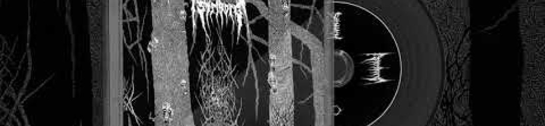Striborg: ascolta in streaming ‘Mysterious Semblance of Spectral Trees’ [remastered track 2018]