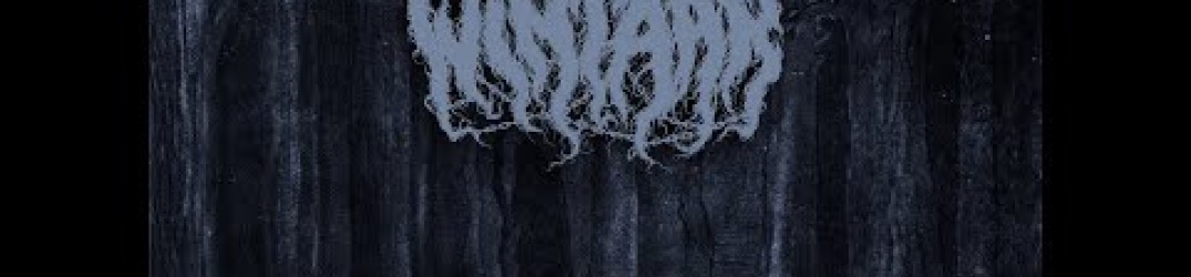 Wintaar: ascolta l’ultimo album “Nordic Glares Bless the Dead” in streaming completo
