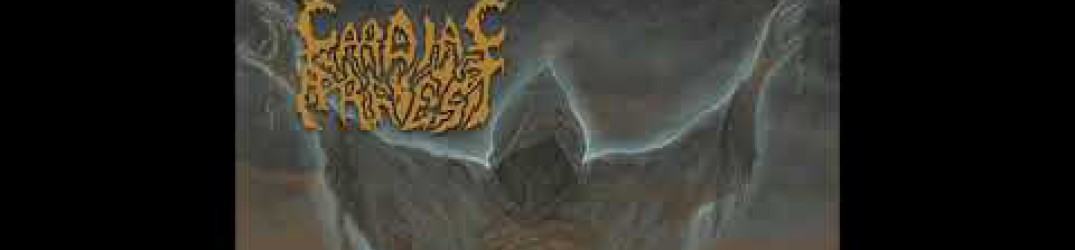 Cardiac Arrest: pubblicato il nuovo brano ‘Professional Victim’