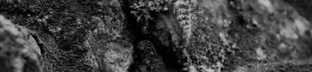 Hegemone: pubblicato il videoclip ufficiale di ‘Raising Barrows’