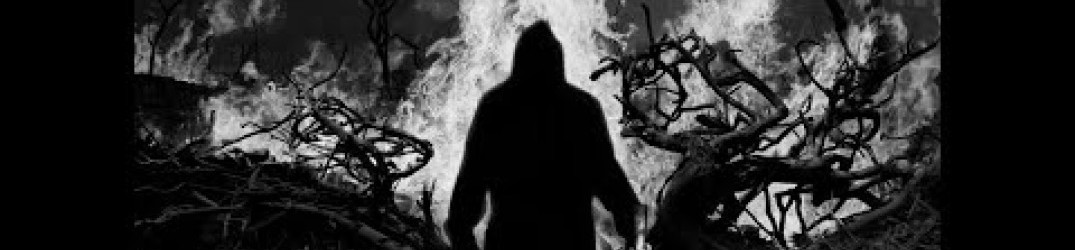 Feral Chaos: “Mankind in Ruin” in full streaming