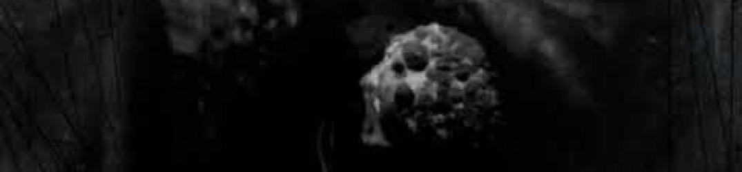 Advent Of Bedlam: guarda l’official music video di ‘The Ever Watchful Eye’