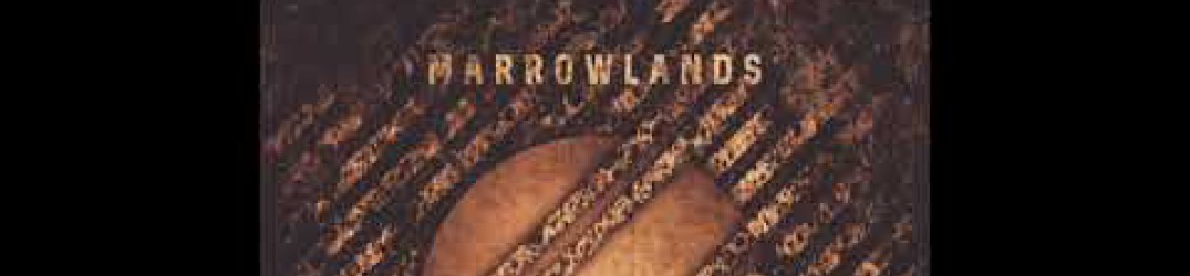 Marrowlands: online ‘Stolen Years’, prima traccia dal nuovo EP “At Age’s End”