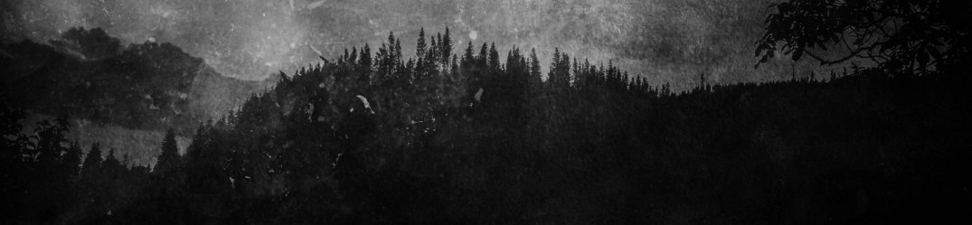 Mørkt Tre: ascolta in streaming completo “To the Graves of the Smoldering Time”