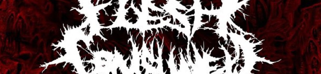 Flesh Consumed: in lavorazione il nuovo album