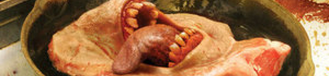 Cattle Decapitation: ascolta ‘An Exposition of Insides’, tratto dal prossimo “Medium Rarities”
