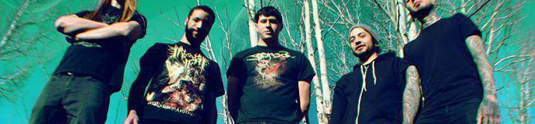 Vale of Pnath: secondo disco sotto Willowtip Records