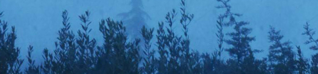 Gandalf’s Owl: i dettagli di “Who’s The Dreamer?”, dal cantante dei Heimdall