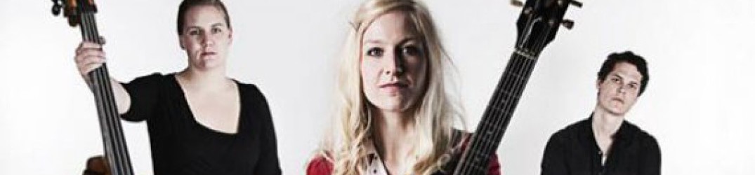 Hedvig Mollestad Trio: online ‘Bewitched, Dwarfed and Defeathered’, dal nuovo album “Smells Funny”