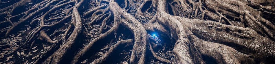 Valtari: in streaming il terzo album in studio “Origin Enigma”