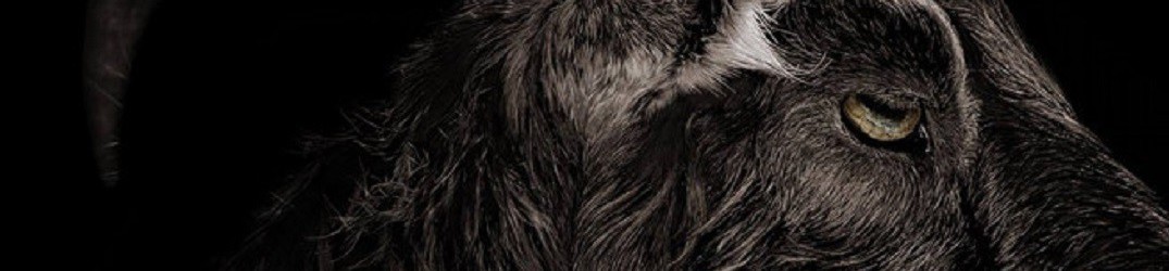 Enepsigos: traccia da “Plague ov Plagues”