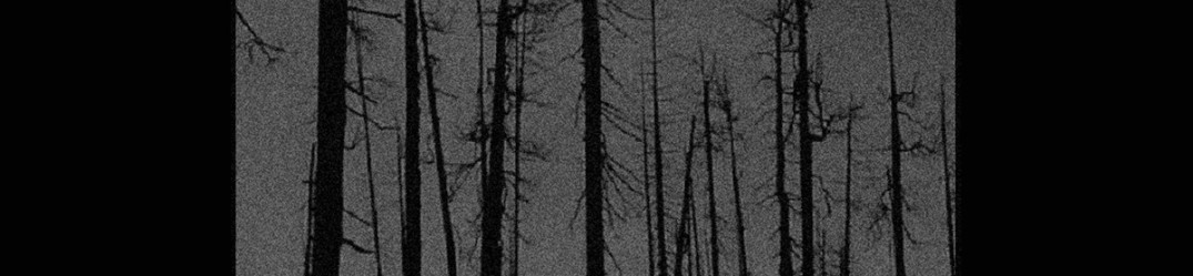Viselnik: ascolta in full streaming “Smoldering Existence”