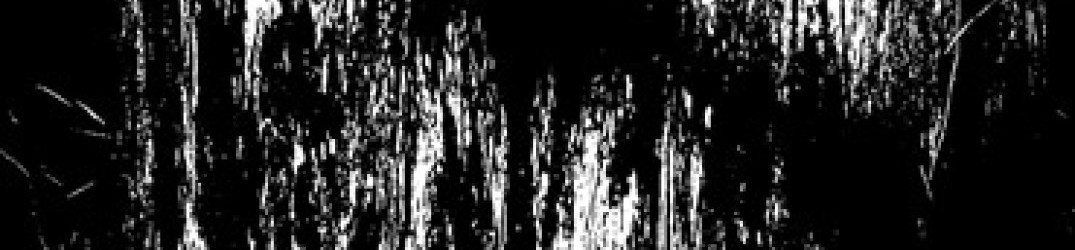 Nekrasov: pubblicato il primo singolo dal nuovo album “Lust of Consciousness”