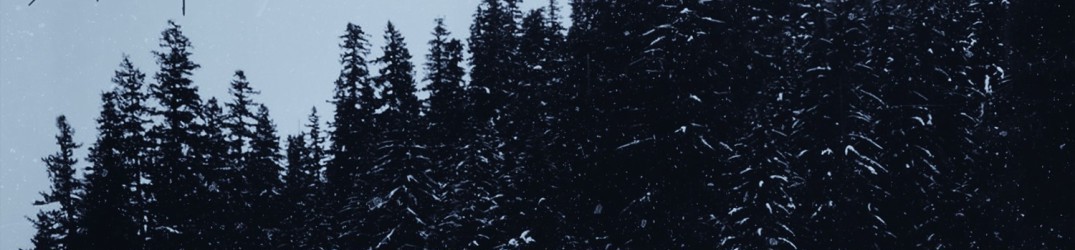 None: in streaming ‘It’s Painless to Let Go’ dal nuovo album “Damp Chill of Life”