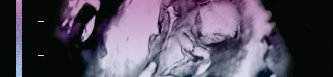Pryapisme: ancora una song da “Diabolicus Felinae Pandemonium”