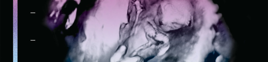Pryapisme: ancora una song da “Diabolicus Felinae Pandemonium”