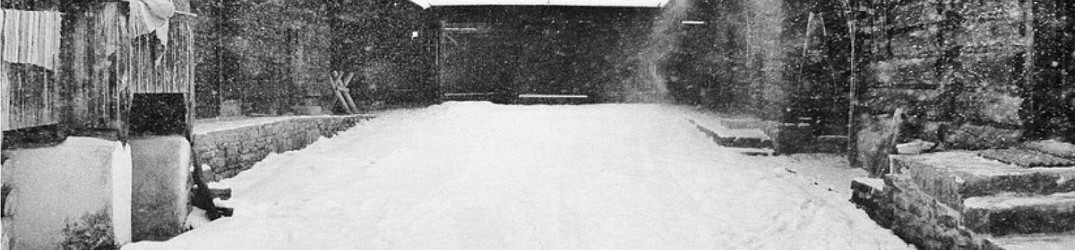 Dreadrealm: la fine di una one man band