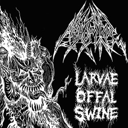 Larvæ Offal Swine