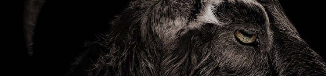 Enepsigos: tracklist e cover di “Plague ov Plagues”