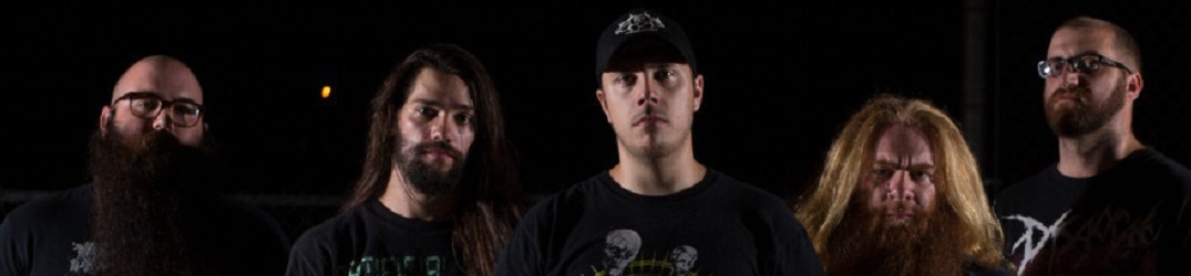 Cognitive: video clip da “Deformity”