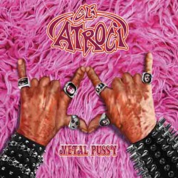 Metal Pussy