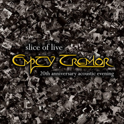 Slice Of Live – 20th anniversary acoustic evening