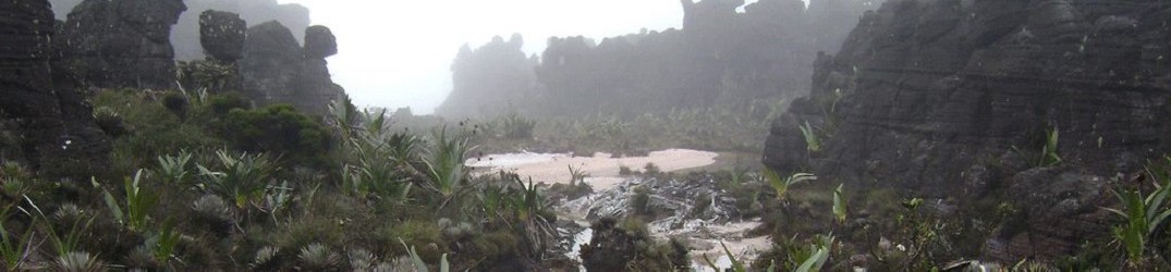 Roraima: ascolta in full streaming “Auyantepuy”
