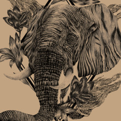 Klimt1918 @ Circolo Svolta – Rozzano (MI)