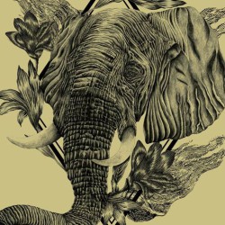 Klimt1918 @ Freakout Club – Bologna