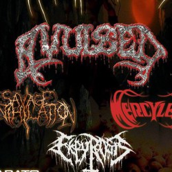 Avulsed & more @ Blue Rose Club – Bresso (MI)