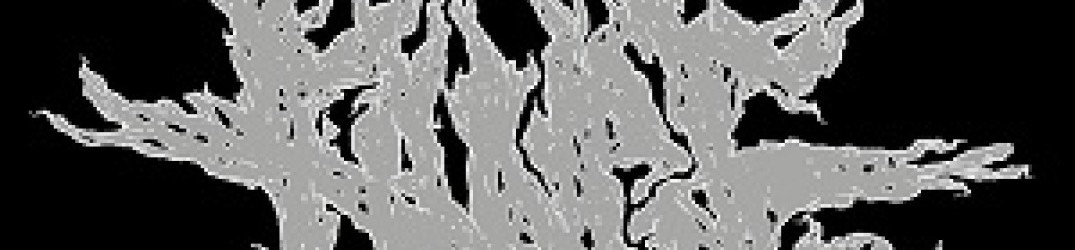 Fange: titolo del full-length di debutto
