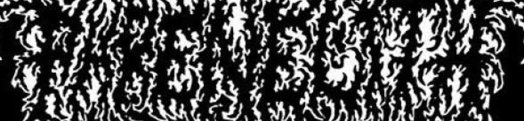 Phrenelith: “Chimaerian Offspring” in streaming completo