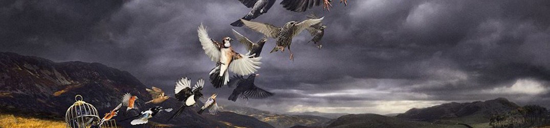 Pink Floyd: pubblicato il video “Today” di David Gilmour
