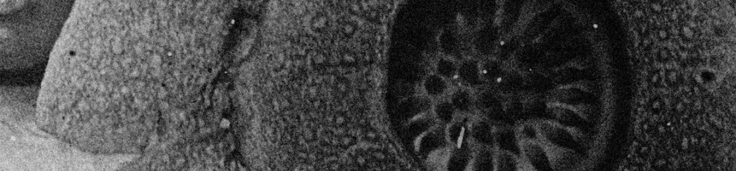 Negative Symbols: in streaming completo “Without Voices”
