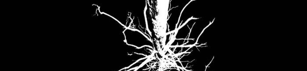 Ride for Revenge: ascolta alcune anteprime dal nuovo album